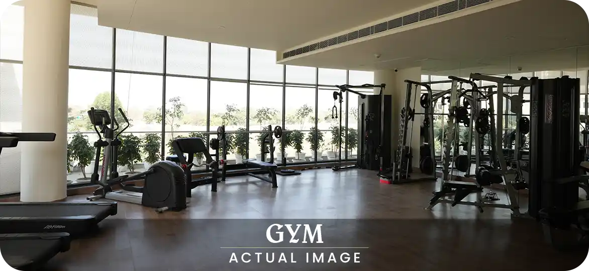 Gymnasium